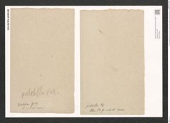 Synedra pulchella (Ralfs). Kuetz. (de-Toni-Nr.: Genus 66, Species 2582) Zeichnungen Sammlung Grunow (NHMW-BOT-W0373469)